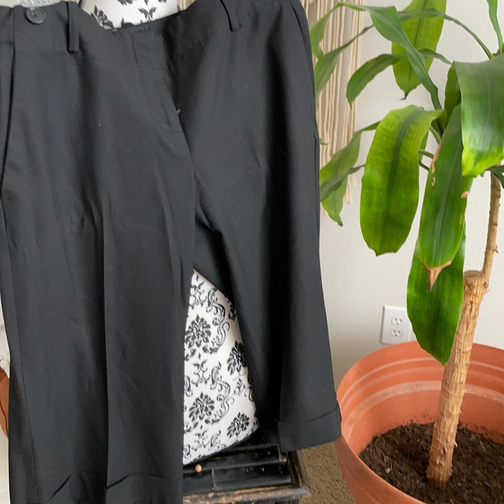 Limited Cassidy Fit cropped dress pants